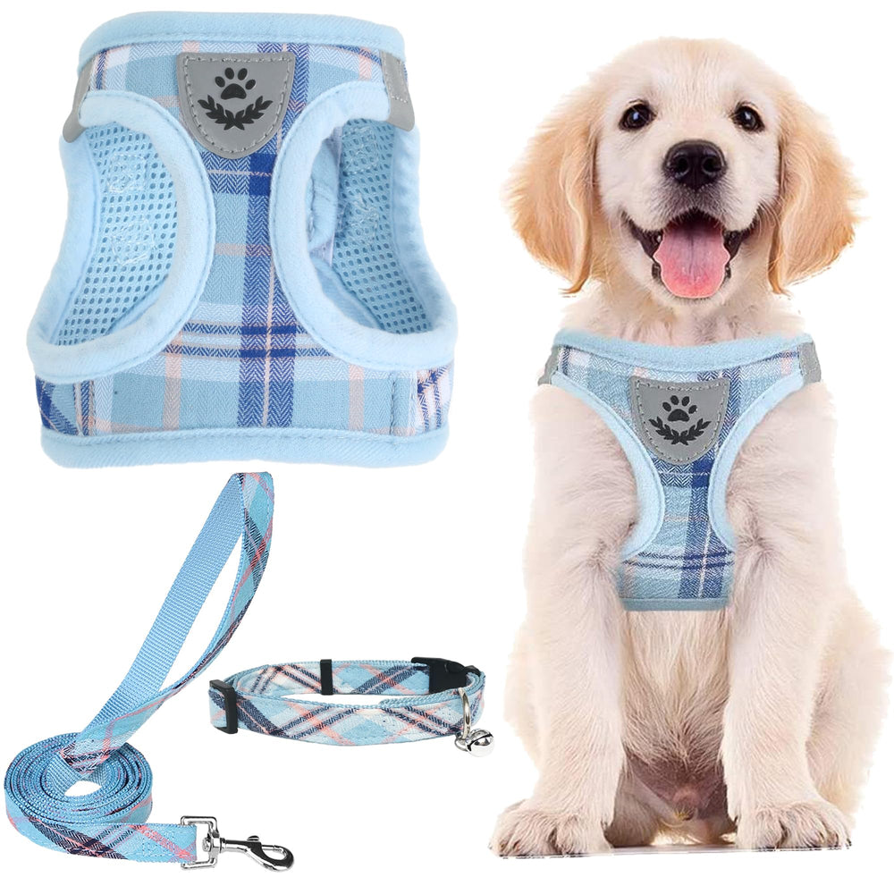PUPTECK dog harness set shown from the front with its matching collar and leash.