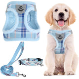 PUPTECK dog harness set shown from the front with its matching collar and leash.
