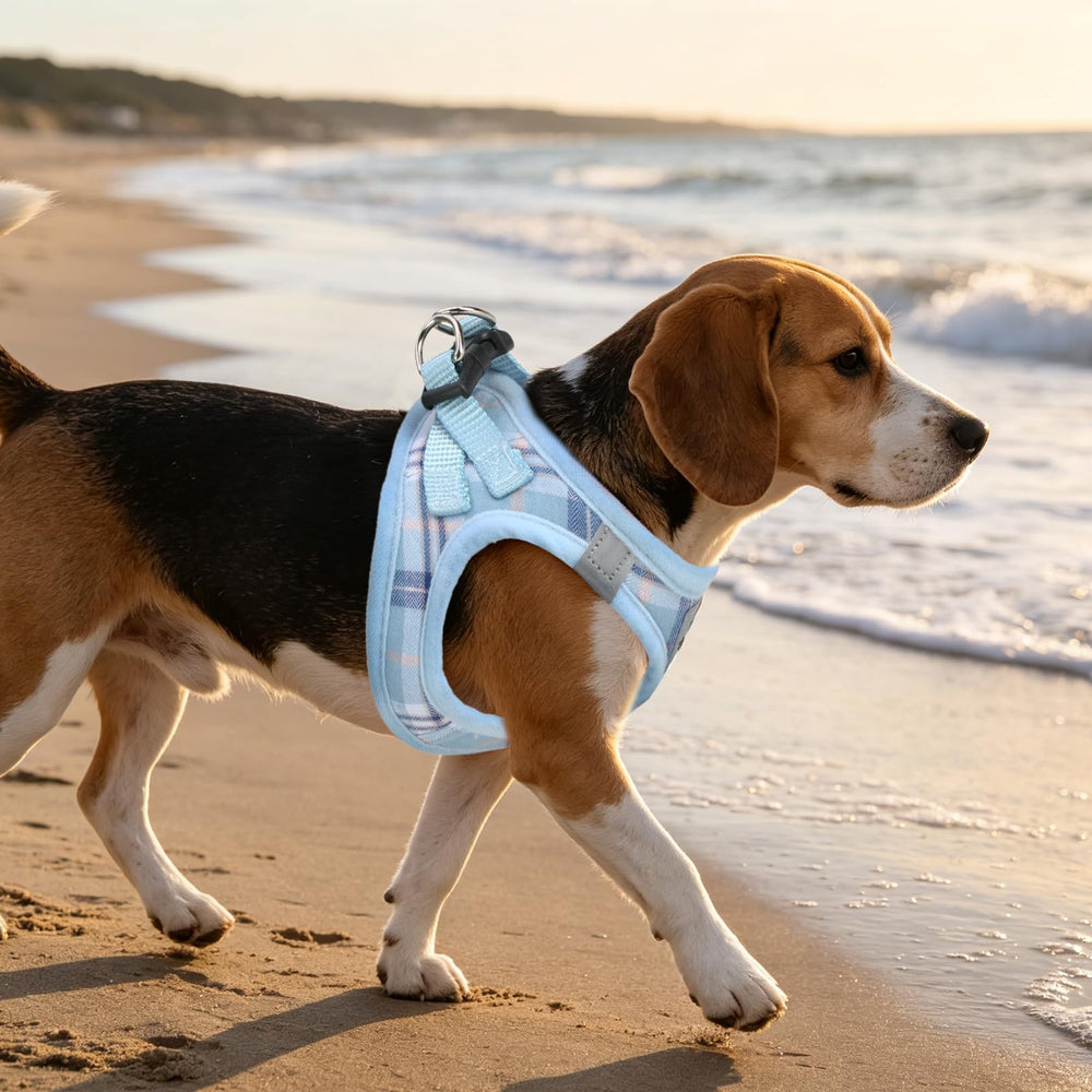 PUPTECK dog harness set size chart showing chest and collar measurement ranges.