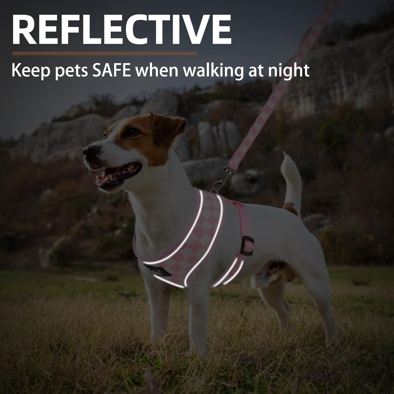 PUPTECK dog harness size guide showing neck and chest measurements.