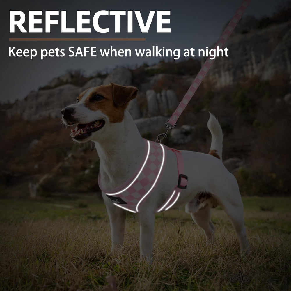 PUPTECK dog harness size guide showing neck and chest measurements.