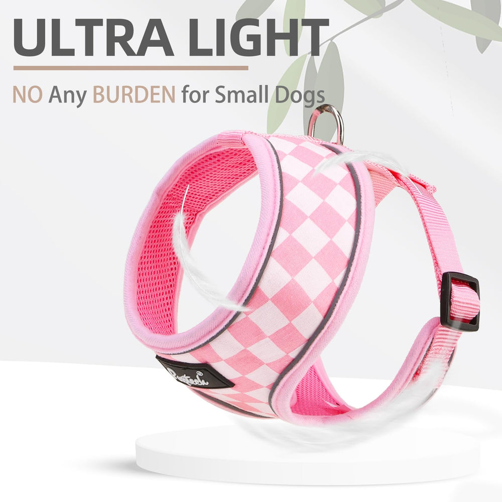 PUPTECK dog harness shown on a small dog for a walking fit view.