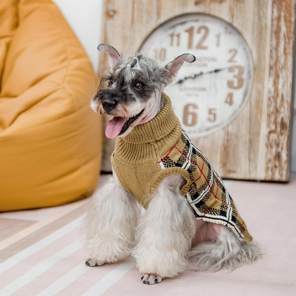 PUPTECK dog sweater close-up showing its classic plaid print.