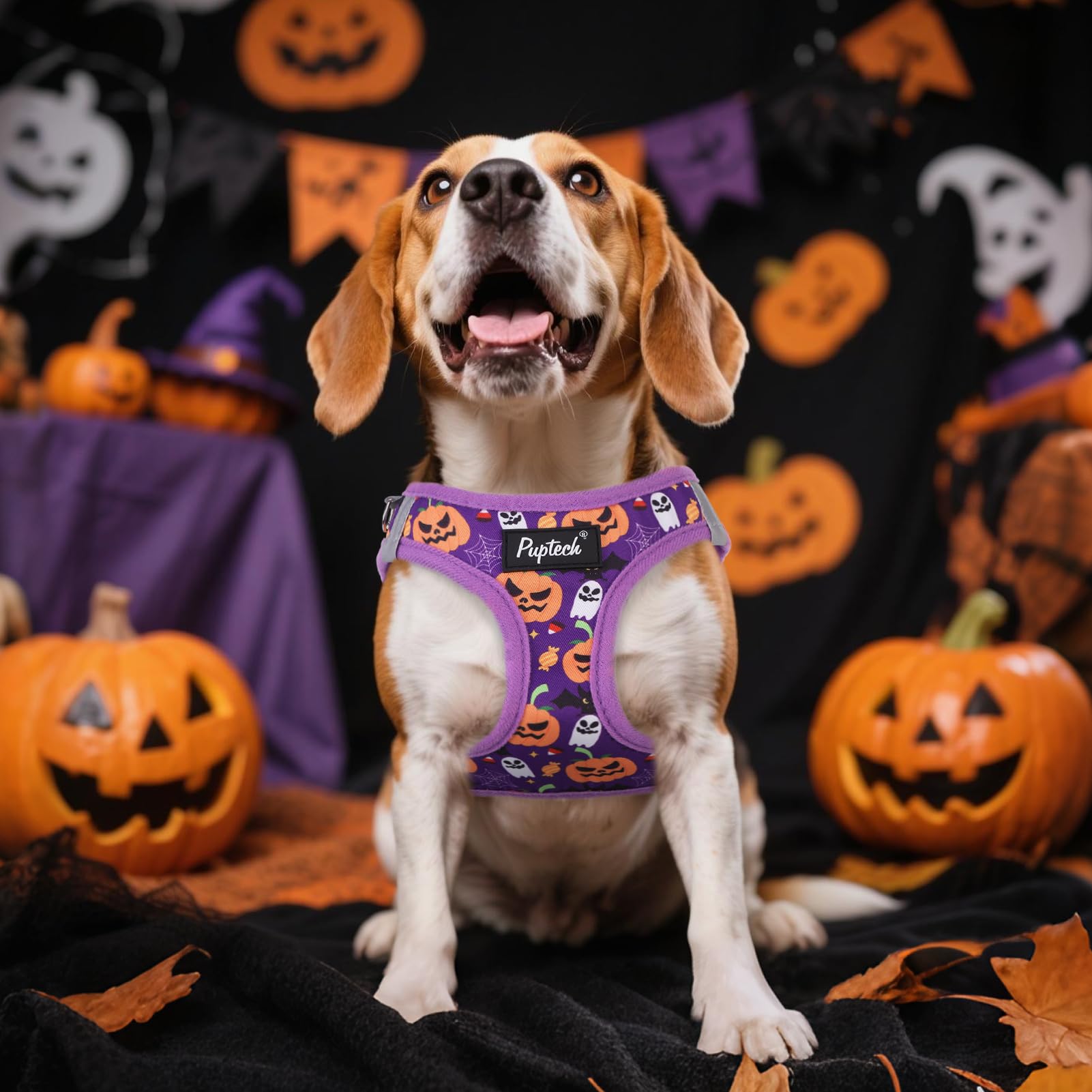 PUPTECK Halloween dog harness worn by a small dog during a walk.