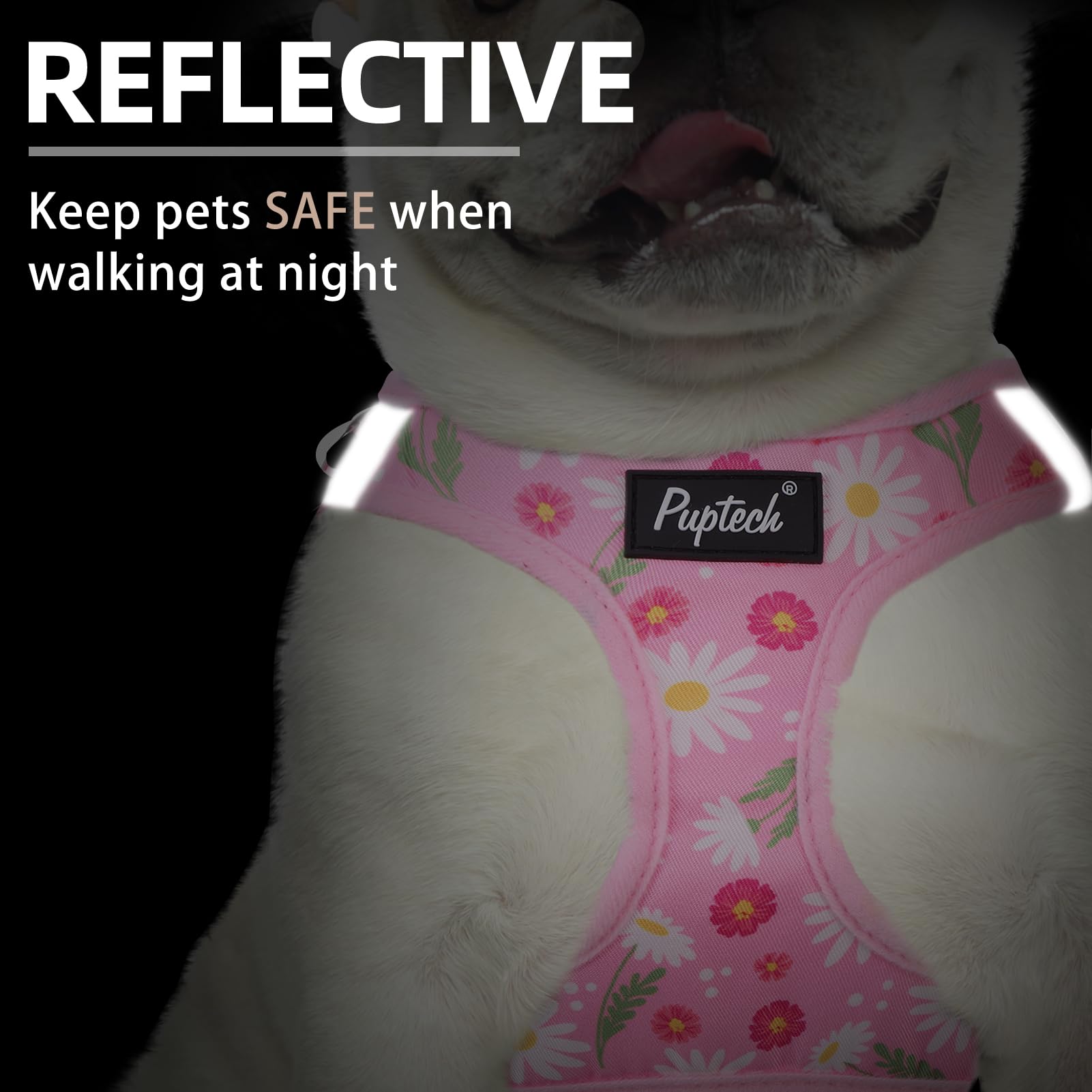 PUPTECK small dog harness showing its quick-release buckle and metal D-rings.