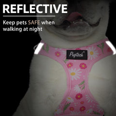 PUPTECK small dog harness showing its quick-release buckle and metal D-rings.