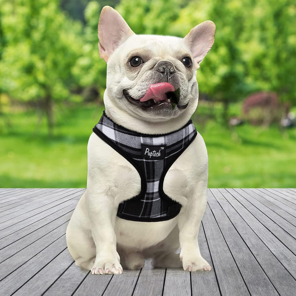 PUPTECK small dog harness quick-release buckle shown in detail.