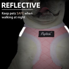 PUPTECK small dog harness showing the fastening strap and quick-release buckle.