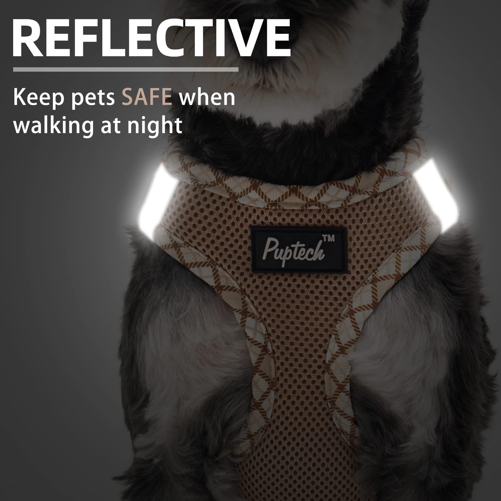 PUPTECK small dog harness close-up showing the buckle and metal D-rings.