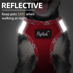 PUPTECK small dog harness showing the fastening strap and quick-release buckle.
