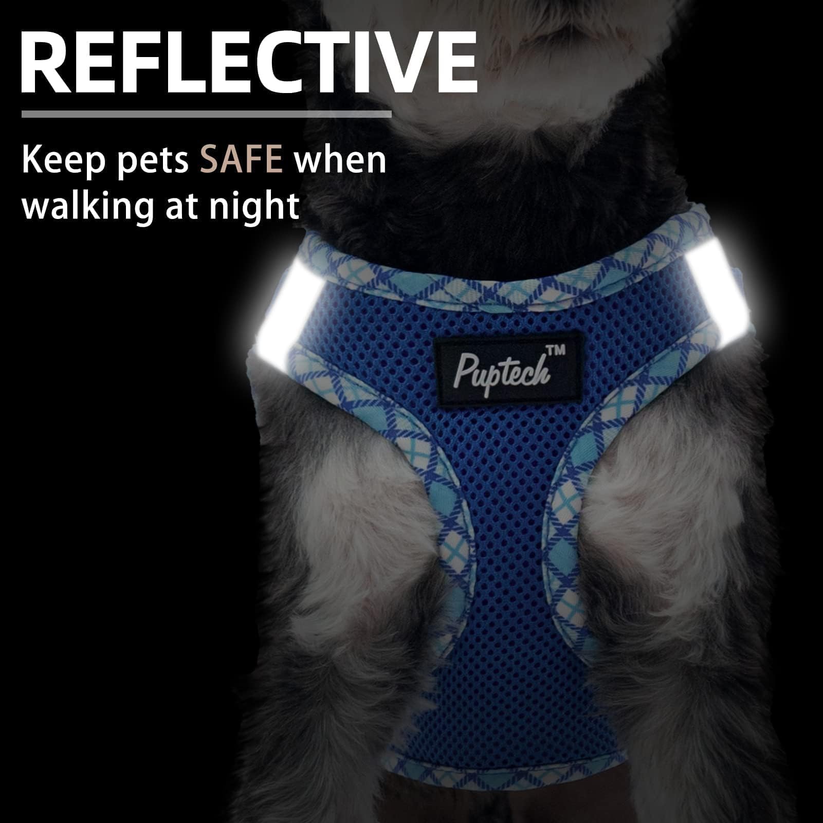 PUPTECK small dog harness detail showing the buckle and two metal D-rings.