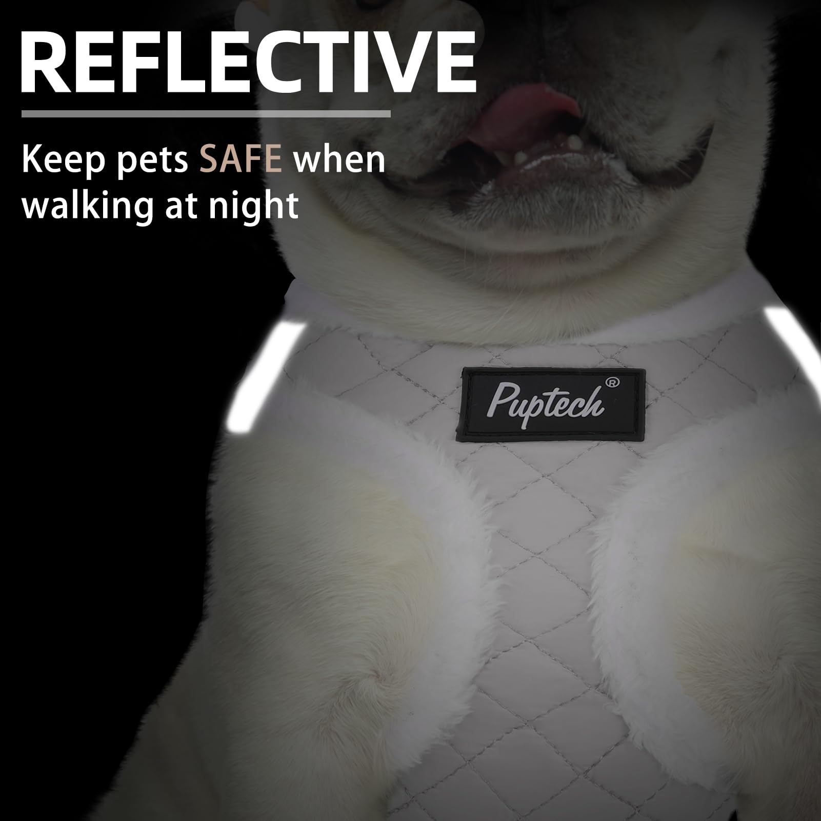 PUPTECK small dog harness showing the quick-release buckle and metal D-rings.