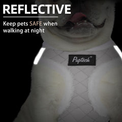 PUPTECK small dog harness showing the quick-release buckle and metal D-rings.