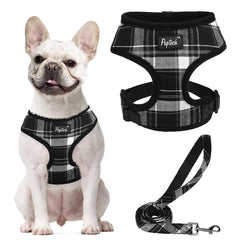 PUPTECK small dog harness and leash set shown from the front.