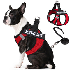 PUPTECK small dog harness and leash set shown from the front.