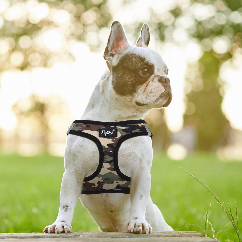 PUPTECK small dog harness and leash set shown together.