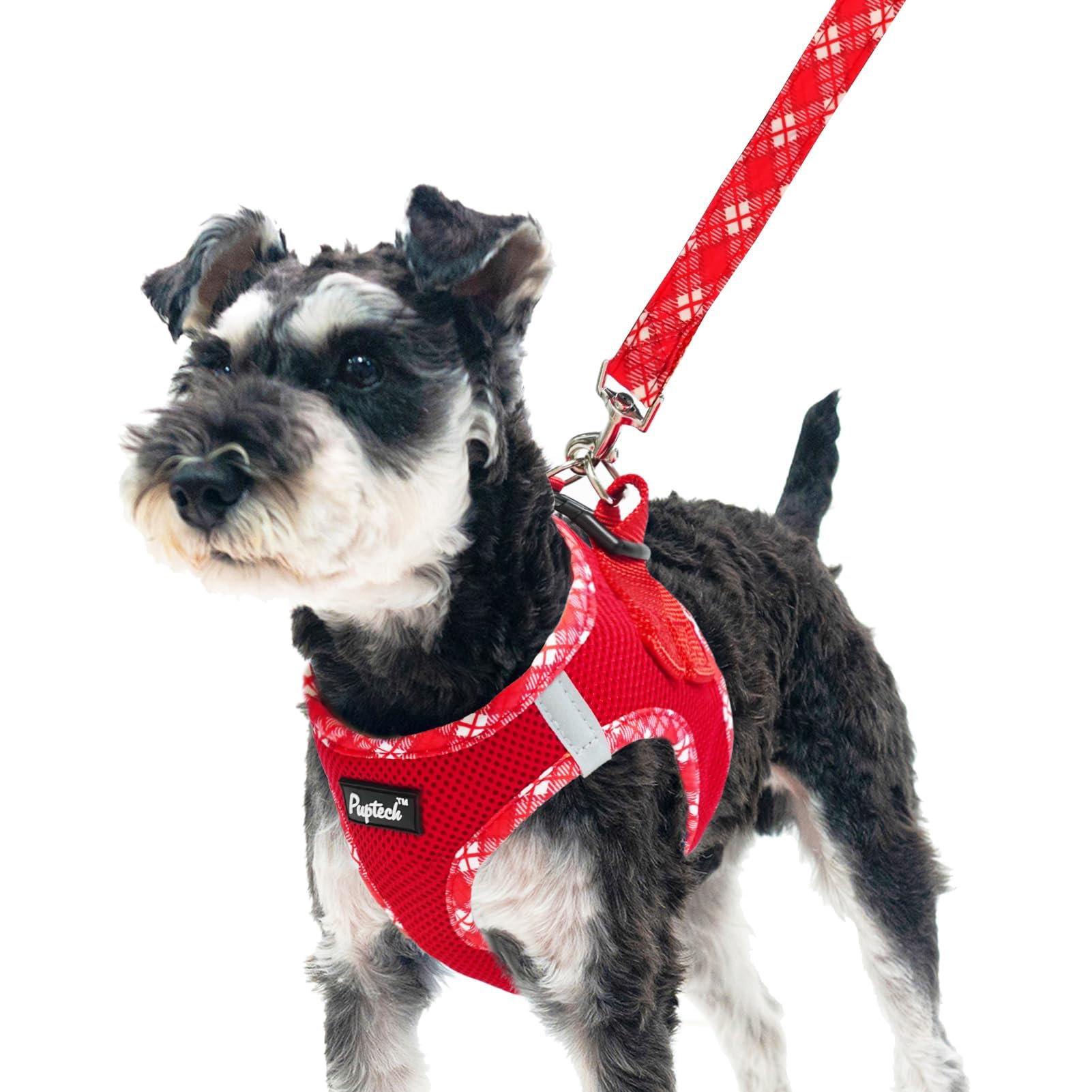 PUPTECK small dog harness and leash set shown from the front.