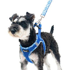 PUPTECK small dog harness and leash set shown together from the front.