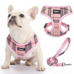 PUPTECK small dog harness and leash set shown together.