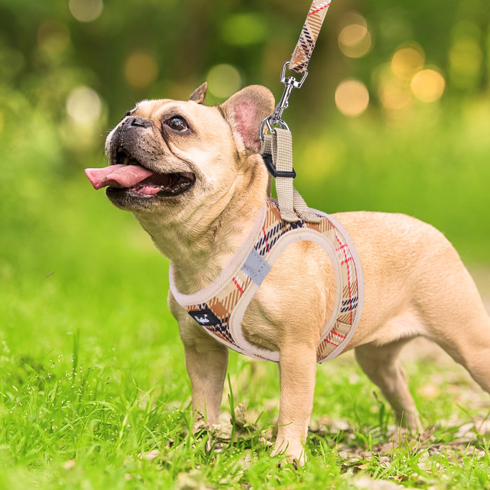 PUPTECK small dog harness detail showing reflective strips on both sides.