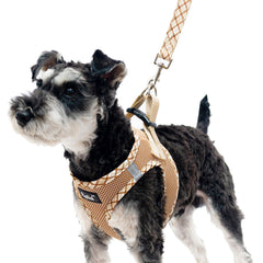 PUPTECK small dog harness and leash set shown from the front.