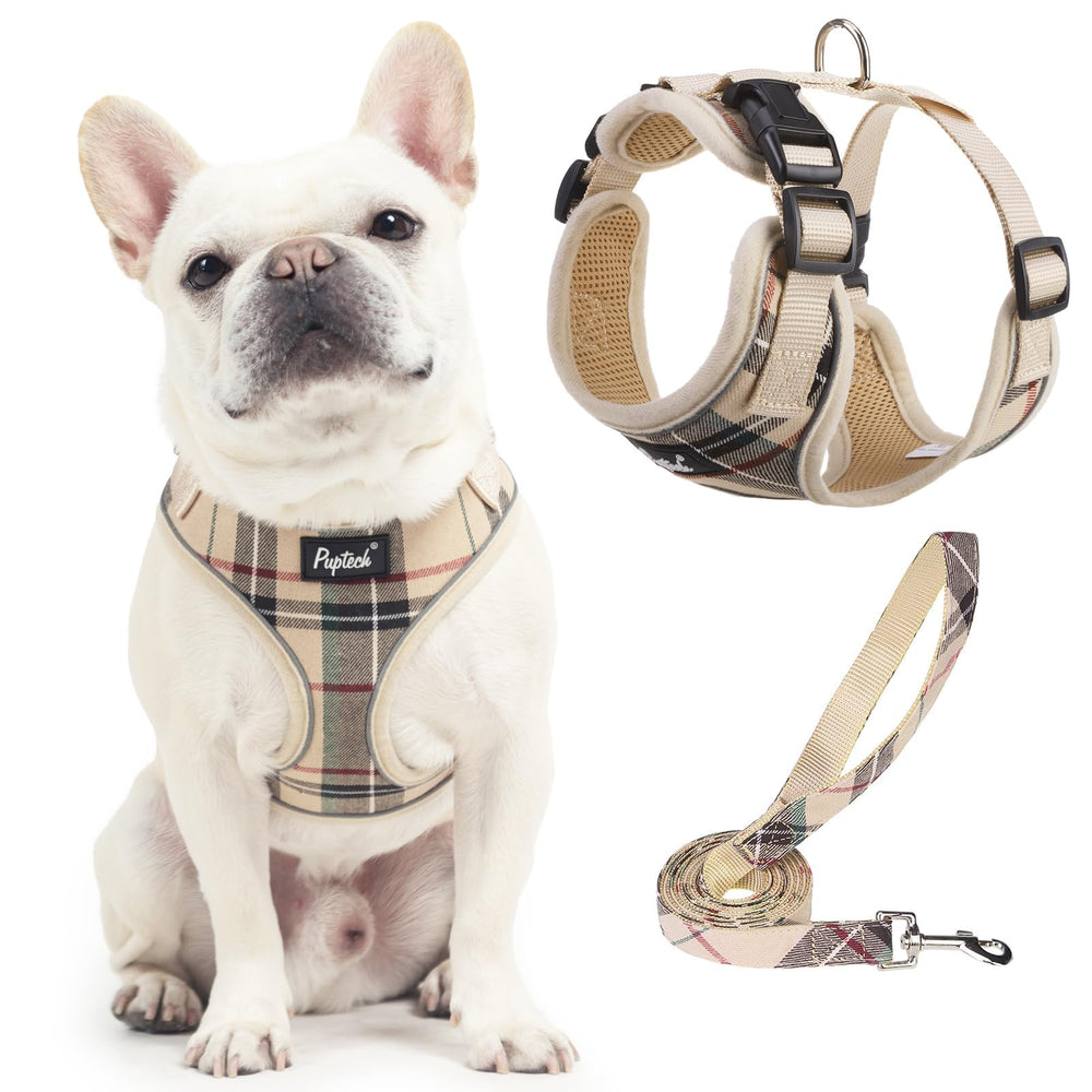 PUPTECK small dog harness and leash set shown from the front.