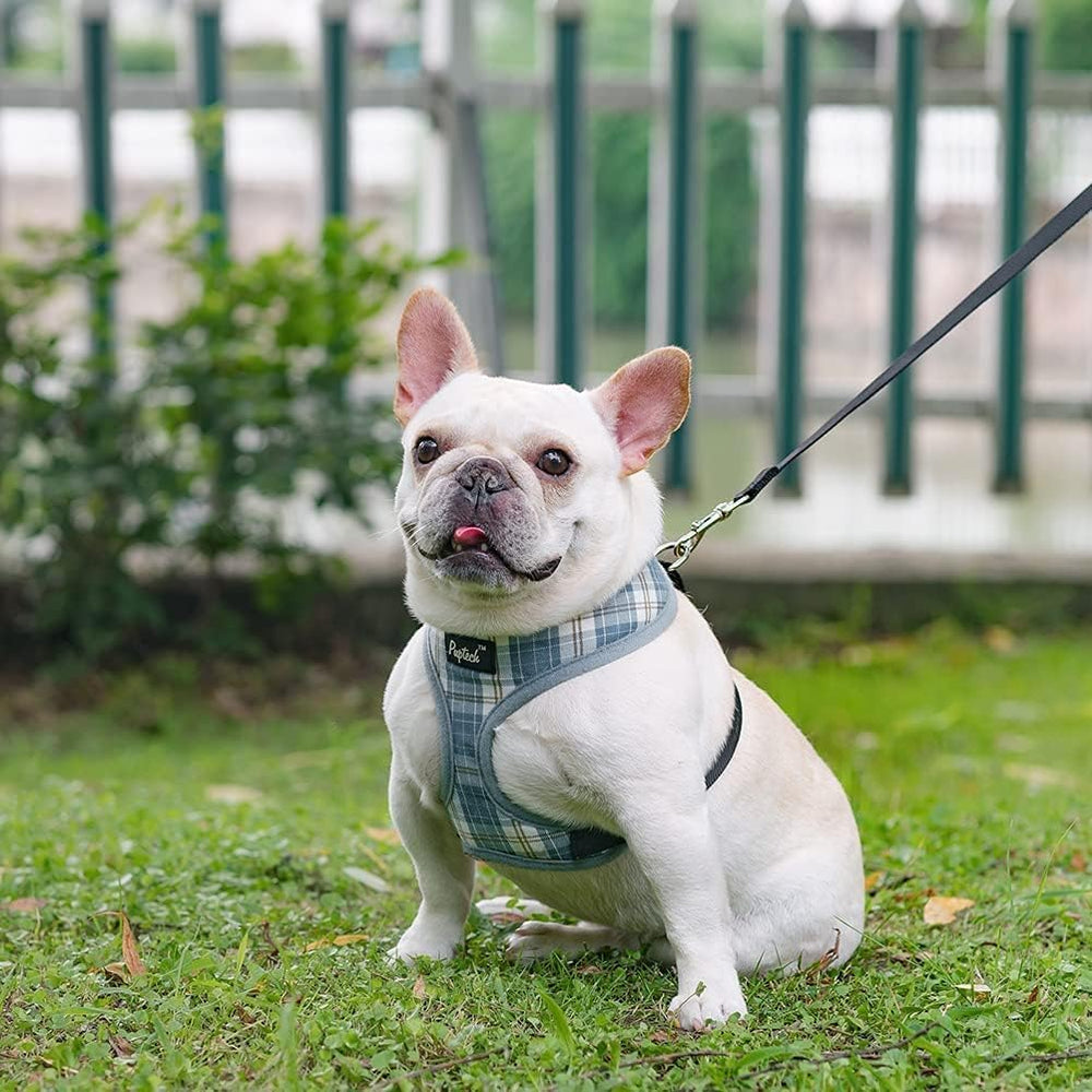 PUPTECK small dog harness size chart with neck and chest measurements.
