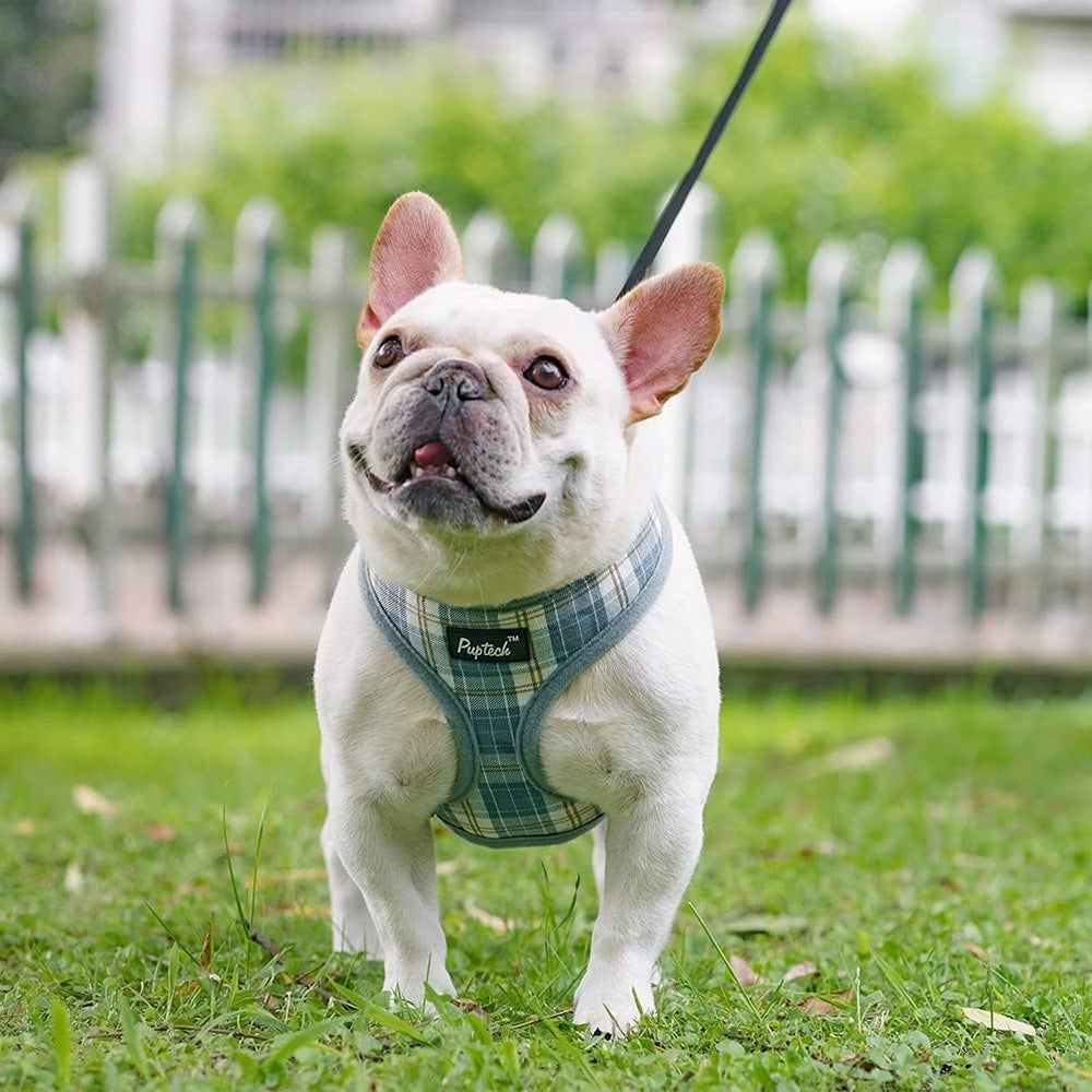 PUPTECK small dog harness shown being worn by a dog.
