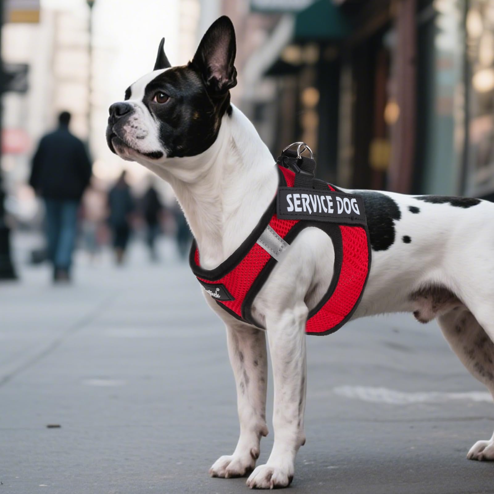 PUPTECK small dog harness shown worn by a small dog.