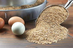 Purina Layena layer hen feed crumbles shown in a close-up view.