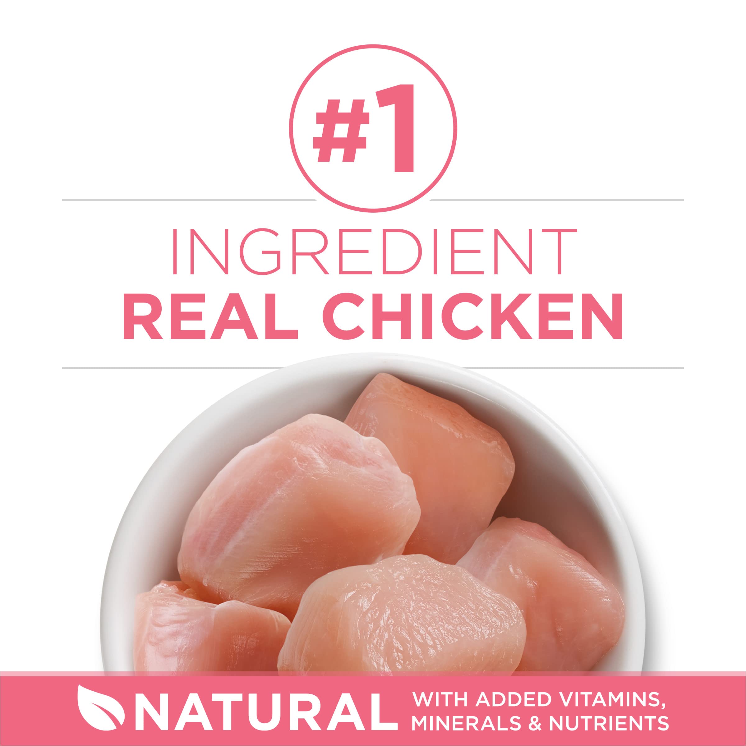 Purina ONE kitten dry cat food with real chicken as its number one ingredient.
