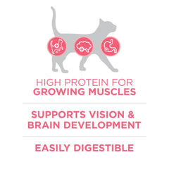 Purina ONE kitten dry cat food nutrition information on the package.