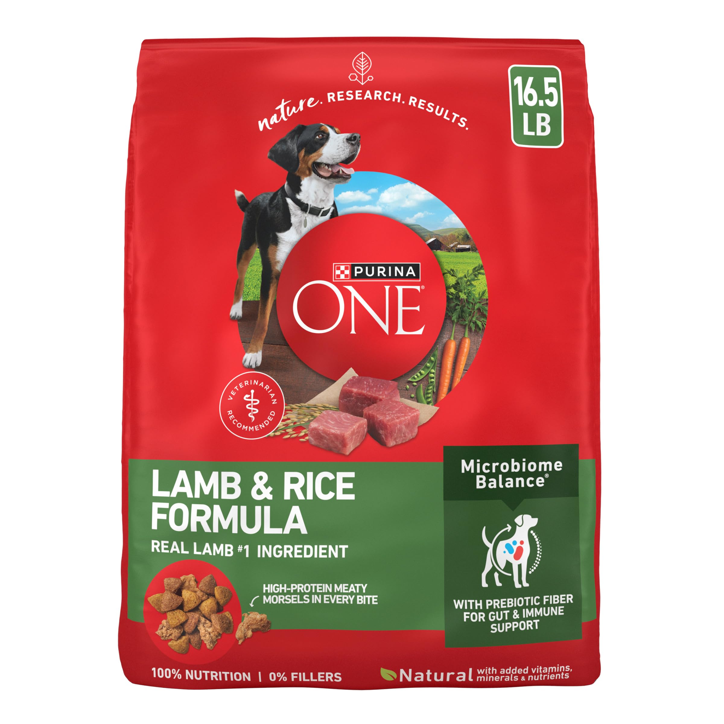 Purina ONE Lamb and Rice Formula dry dog food bag shown from the front.