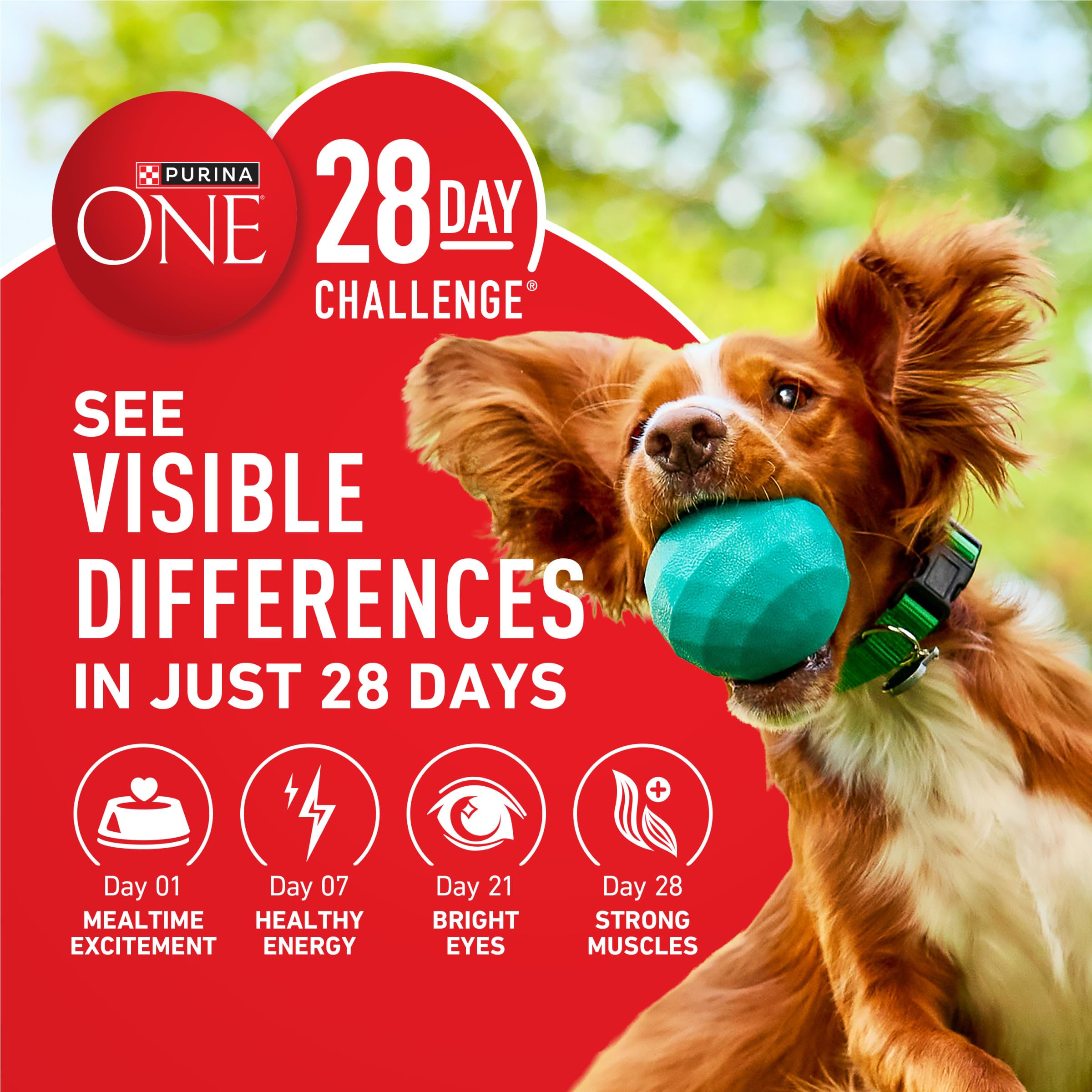 Purina ONE Lamb and Rice Formula dry dog food package shown from the side.