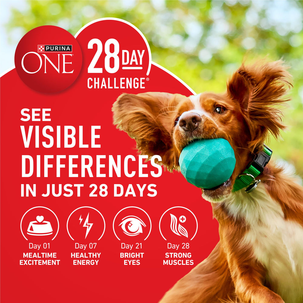 Purina ONE Lamb and Rice Formula dry dog food package shown from the side.