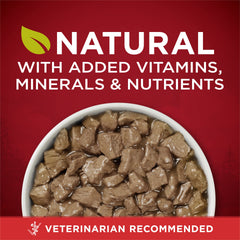 Purina ONE wet dog food can label with the True Instinct recipe name.