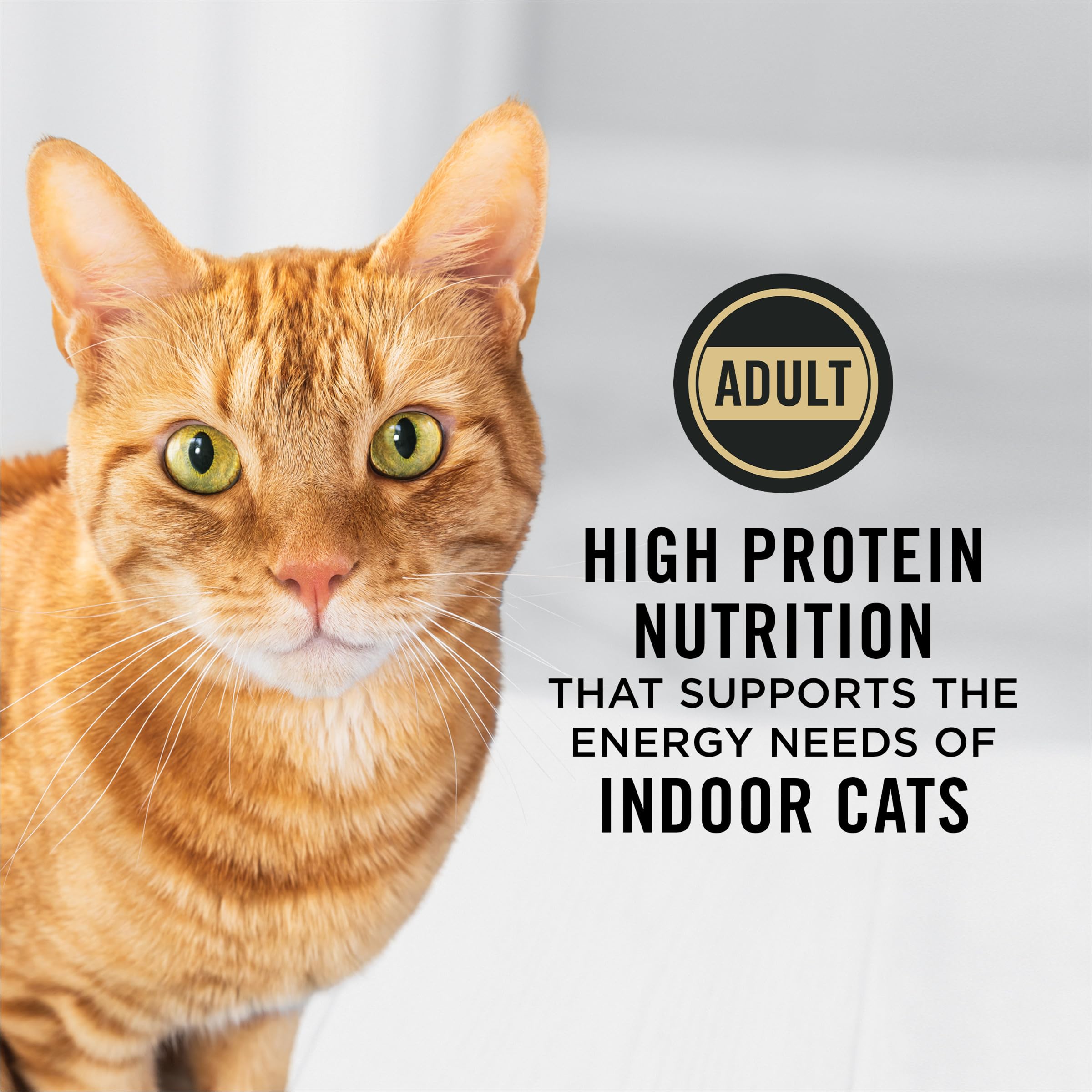 Purina Pro Plan Adult Indoor cat food bag shown from the back.