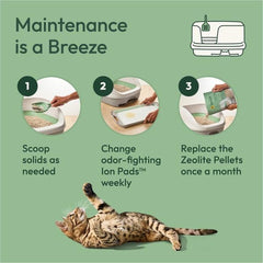 Purina Tidy Cats Breeze Extra Strength Zeolite Pellets shown in a close-up of the zeolite pellets.