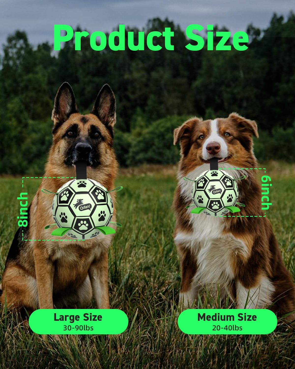 QDAN dog ball being used for an interactive fetch game.