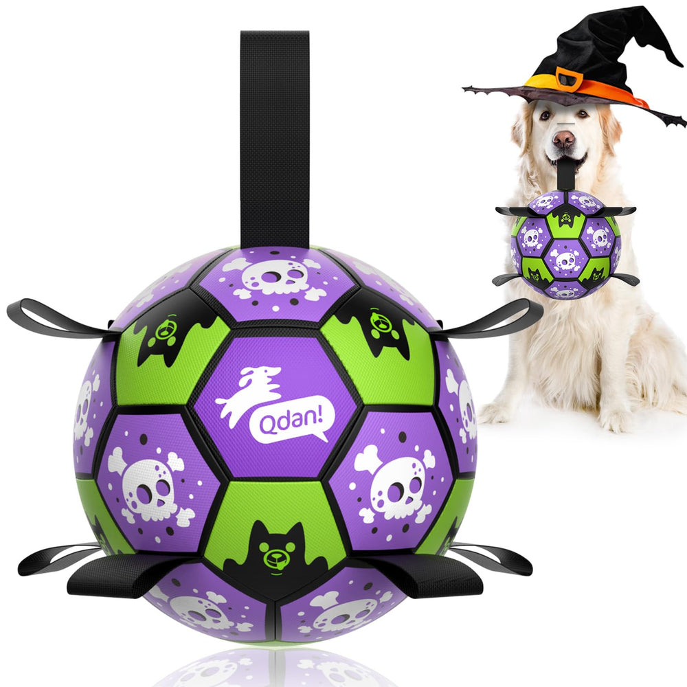 QDAN dog ball front view showing its purple and green Halloween graphics.