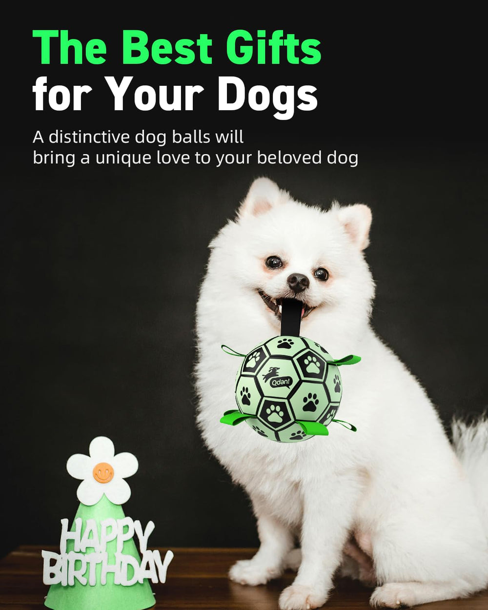 QDAN dog soccer ball showing the longer strap for a person to hold.