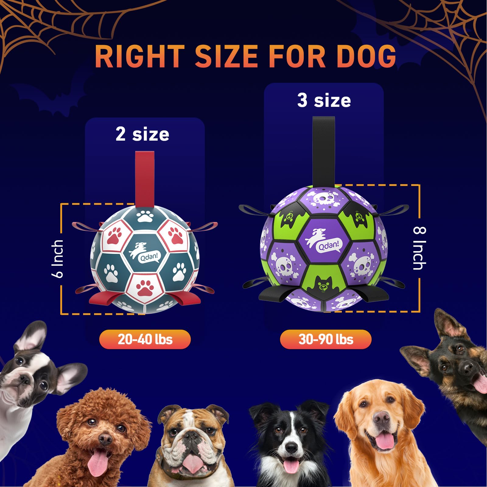QDAN dog ball with the included pump and needle adapter.