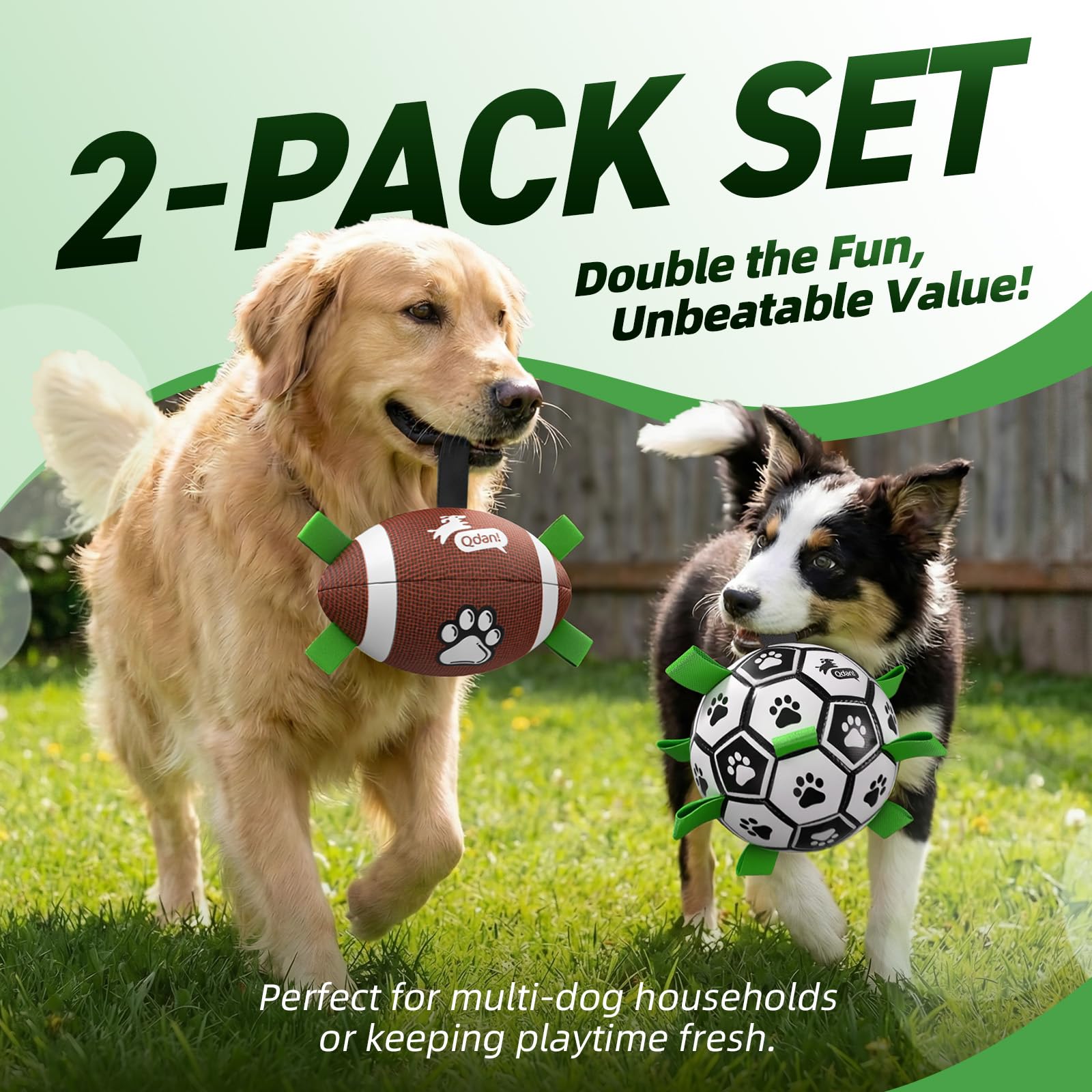 QDAN dog ball set showing the two balls, pump, needle adapter and instructions.