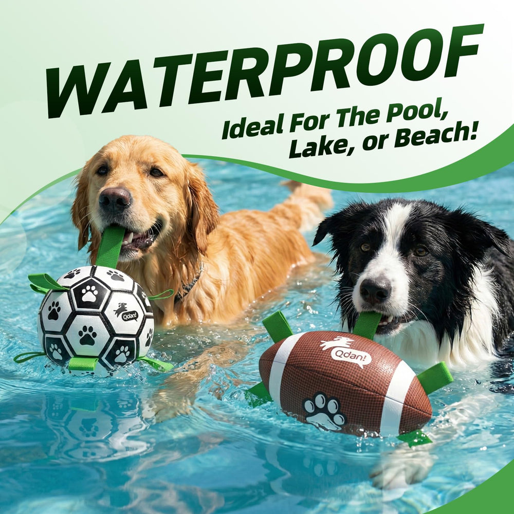 QDAN dog ball set with the pump and needle adapter for inflation.