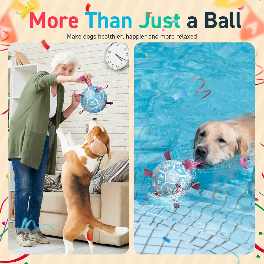 QDAN dog birthday soccer ball carried by a dog using its straps.