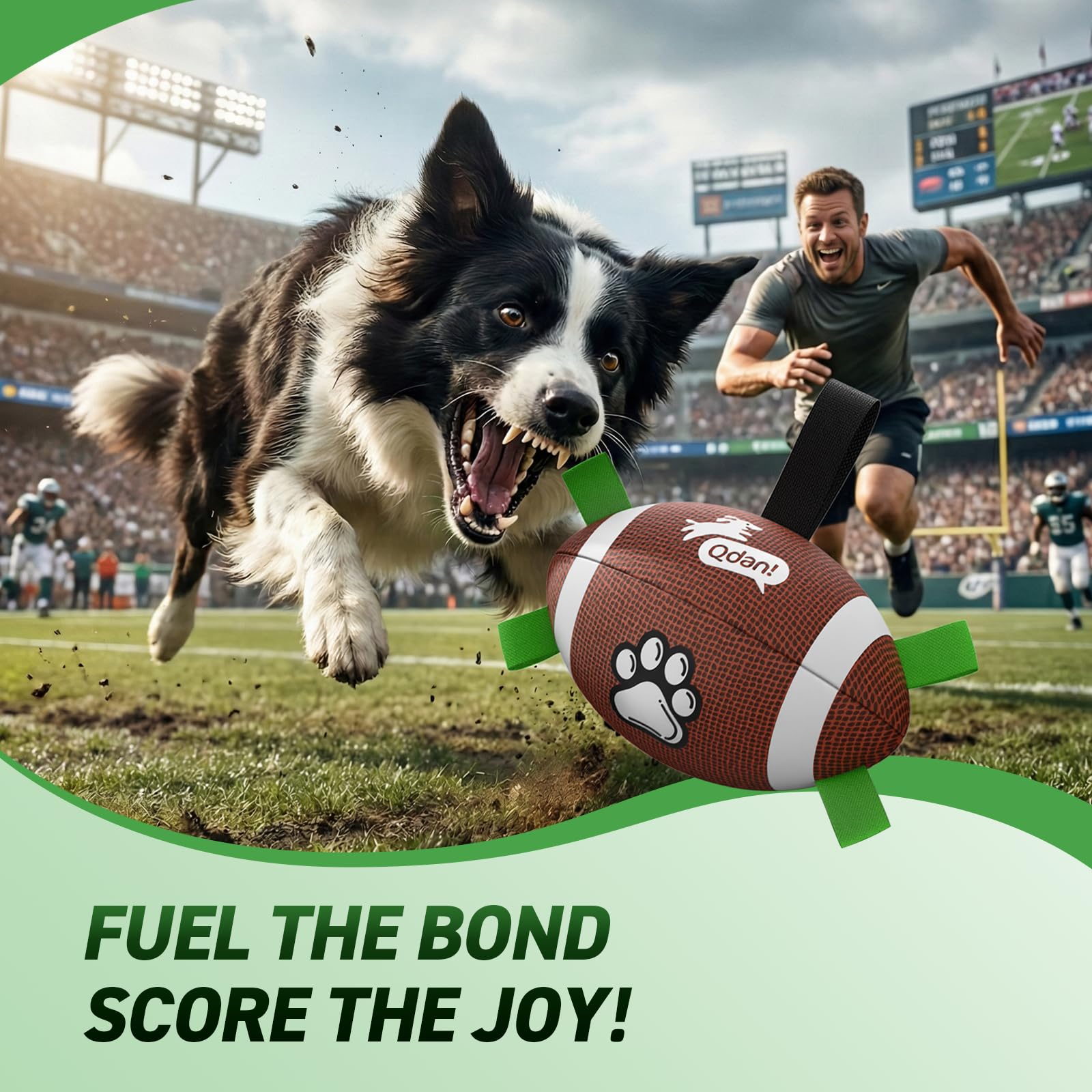 QDAN dog soccer ball shown in a close-up view.