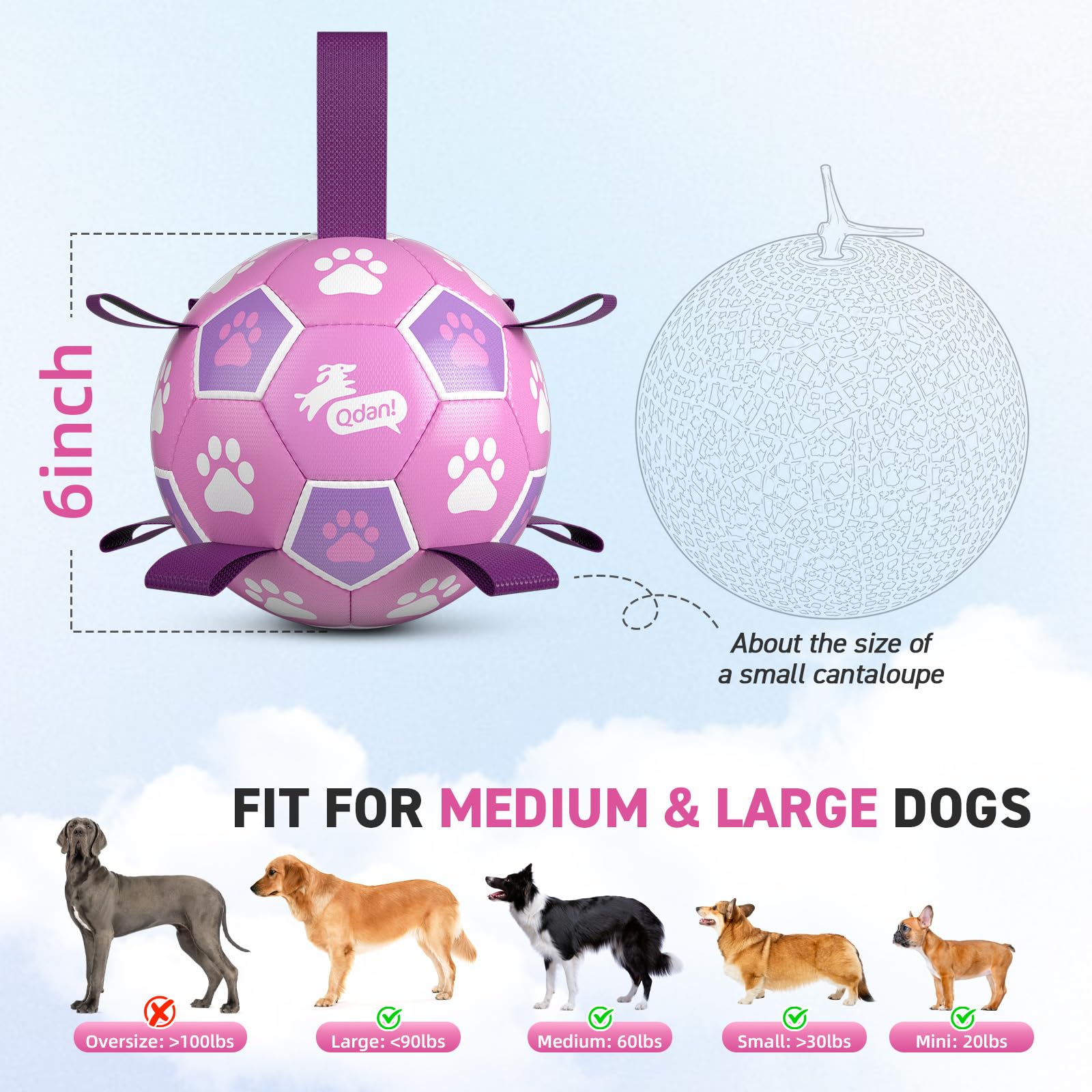 QDAN Dog Soccer Ball being used for a supervised fetch game.