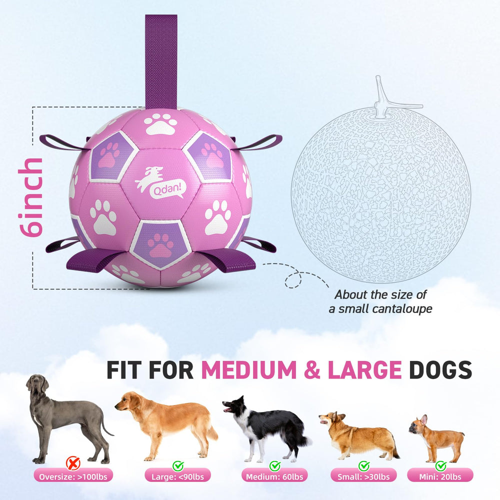 QDAN Dog Soccer Ball being used for a supervised fetch game.