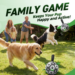 QDAN dog soccer ball shown during an interactive fetch game.