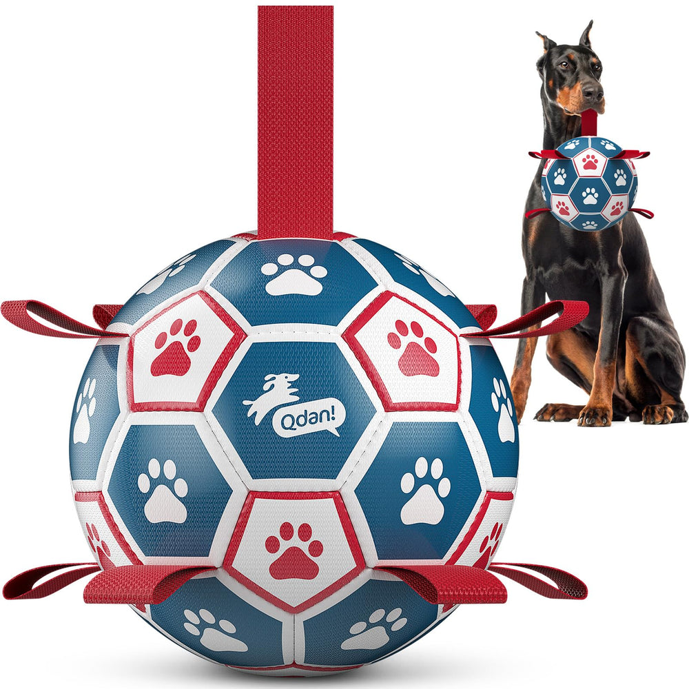 QDAN dog soccer ball shown from the front.